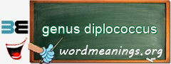 WordMeaning blackboard for genus diplococcus